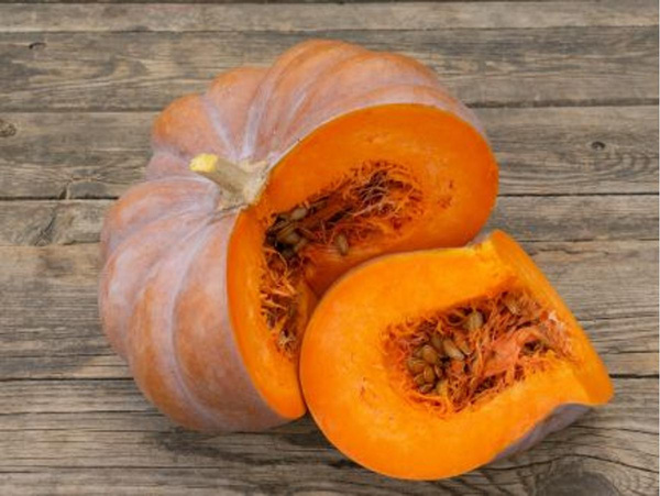 Produktfoto zu Kürbis Muskat de Provence