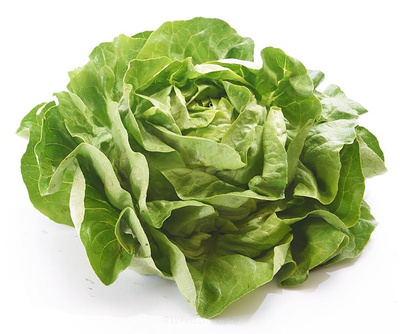 Produktfoto zu Kopfsalat grün