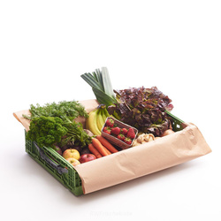 Produktfoto zu Kombikiste