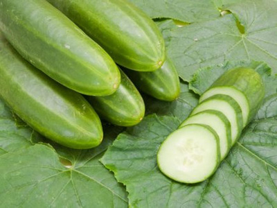 Produktfoto zu Gurken Persika