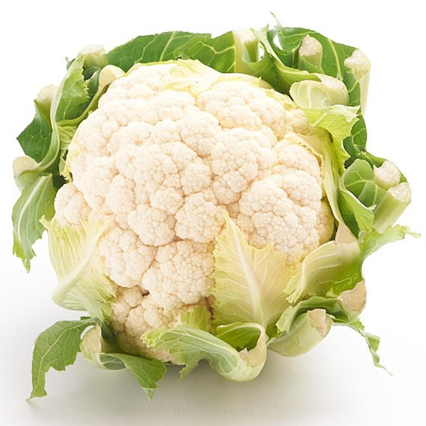 Produktfoto zu Blumenkohl