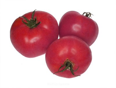 Produktfoto zu Berner Rose Fleischtomate