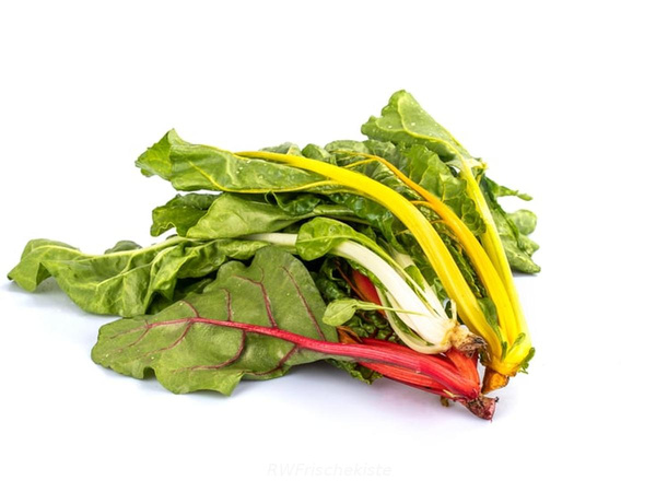 Produktfoto zu Mangold bunt