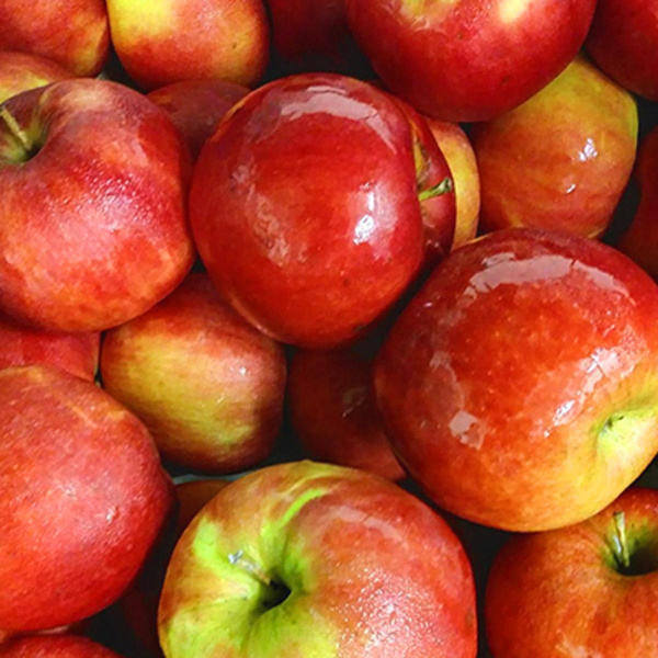 Produktfoto zu Idared Apfel