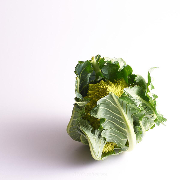 Produktfoto zu Romanesco