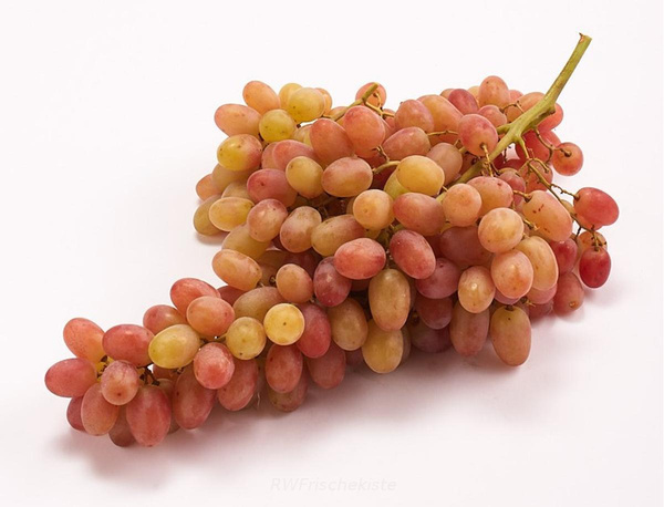 Produktfoto zu Crimson Trauben rosé kernlos